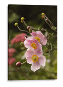 Jardín de Flores Rosas - Wandering Pixels Co. | Cuadro decorativo de Canvas Lab