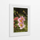 Jardín de Flores Rosas - Wandering Pixels Co. | Cuadro decorativo de Canvas Lab