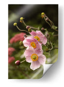 Jardín de Flores Rosas - Wandering Pixels Co. | Cuadro decorativo de Canvas Lab