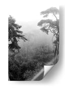 Bosque Con Neblina - Blanco y Negro - Wandering Pixels Co. | Cuadro decorativo de Canvas Lab