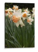 Flores Blancas y Durazno en el Jardín - Wandering Pixels Co. | Cuadro decorativo de Canvas Lab