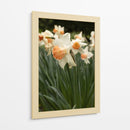 Flores Blancas y Durazno en el Jardín - Wandering Pixels Co. | Cuadro decorativo de Canvas Lab