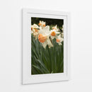 Flores Blancas y Durazno en el Jardín - Wandering Pixels Co. | Cuadro decorativo de Canvas Lab