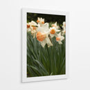 Flores Blancas y Durazno en el Jardín - Wandering Pixels Co. | Cuadro decorativo de Canvas Lab
