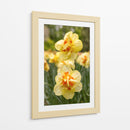 Flores Amarillas y Naranjas en Plena Floración - Wandering Pixels Co. | Cuadro decorativo de Canvas Lab