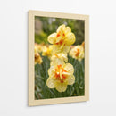 Flores Amarillas y Naranjas en Plena Floración - Wandering Pixels Co. | Cuadro decorativo de Canvas Lab