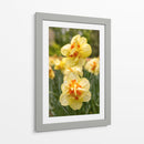 Flores Amarillas y Naranjas en Plena Floración - Wandering Pixels Co. | Cuadro decorativo de Canvas Lab