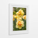 Flores Amarillas y Naranjas en Plena Floración - Wandering Pixels Co. | Cuadro decorativo de Canvas Lab