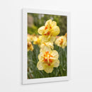 Flores Amarillas y Naranjas en Plena Floración - Wandering Pixels Co. | Cuadro decorativo de Canvas Lab