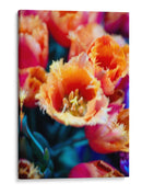 El Tulipan - Wandering Pixels Co. | Cuadro decorativo de Canvas Lab