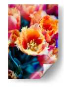 El Tulipan - Wandering Pixels Co. | Cuadro decorativo de Canvas Lab