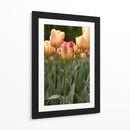 Tulipán Rojo y Amarillo entre Tulipanes Durazno - Wandering Pixels Co. | Cuadro decorativo de Canvas Lab