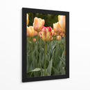 Tulipán Rojo y Amarillo entre Tulipanes Durazno - Wandering Pixels Co. | Cuadro decorativo de Canvas Lab