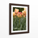 Tulipán Rojo y Amarillo entre Tulipanes Durazno - Wandering Pixels Co. | Cuadro decorativo de Canvas Lab