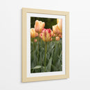 Tulipán Rojo y Amarillo entre Tulipanes Durazno - Wandering Pixels Co. | Cuadro decorativo de Canvas Lab
