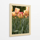 Tulipán Rojo y Amarillo entre Tulipanes Durazno - Wandering Pixels Co. | Cuadro decorativo de Canvas Lab
