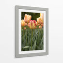 Tulipán Rojo y Amarillo entre Tulipanes Durazno - Wandering Pixels Co. | Cuadro decorativo de Canvas Lab