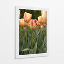 Tulipán Rojo y Amarillo entre Tulipanes Durazno - Wandering Pixels Co. | Cuadro decorativo de Canvas Lab