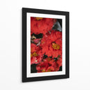 Flores Rojas con Gotas de Lluvia y Abeja - Wandering Pixels Co. | Cuadro decorativo de Canvas Lab