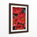 Flores Rojas con Gotas de Lluvia y Abeja - Wandering Pixels Co. | Cuadro decorativo de Canvas Lab
