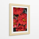Flores Rojas con Gotas de Lluvia y Abeja - Wandering Pixels Co. | Cuadro decorativo de Canvas Lab