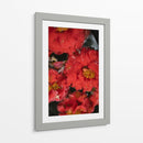 Flores Rojas con Gotas de Lluvia y Abeja - Wandering Pixels Co. | Cuadro decorativo de Canvas Lab
