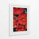 Flores Rojas con Gotas de Lluvia y Abeja - Wandering Pixels Co. | Cuadro decorativo de Canvas Lab