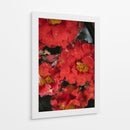 Flores Rojas con Gotas de Lluvia y Abeja - Wandering Pixels Co. | Cuadro decorativo de Canvas Lab