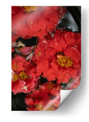 Flores Rojas con Gotas de Lluvia y Abeja - Wandering Pixels Co. | Cuadro decorativo de Canvas Lab