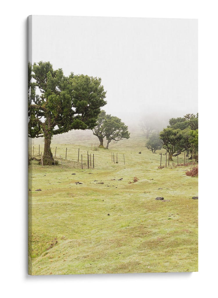 Pradera con Árboles en la Niebla - Wandering Pixels Co. | Cuadro decorativo de Canvas Lab