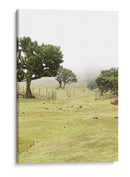 Pradera con Árboles en la Niebla - Wandering Pixels Co. | Cuadro decorativo de Canvas Lab