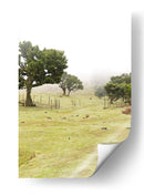 Pradera con Árboles en la Niebla - Wandering Pixels Co. | Cuadro decorativo de Canvas Lab