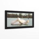 Cisne - E Ordóñez | Cuadro decorativo de Canvas Lab