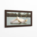 Cisne - E Ordóñez | Cuadro decorativo de Canvas Lab