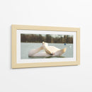 Cisne - E Ordóñez | Cuadro decorativo de Canvas Lab