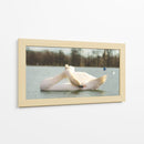 Cisne - E Ordóñez | Cuadro decorativo de Canvas Lab