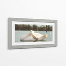 Cisne - E Ordóñez | Cuadro decorativo de Canvas Lab