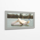 Cisne - E Ordóñez | Cuadro decorativo de Canvas Lab