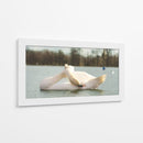 Cisne - E Ordóñez | Cuadro decorativo de Canvas Lab