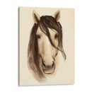 Branero De Acuarela Animales I - Grace Popp | Cuadro decorativo de Canvas Lab