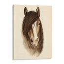 Acuarela Barn Animales Ii - Grace Popp | Cuadro decorativo de Canvas Lab