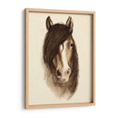 Acuarela Barn Animales Ii - Grace Popp | Cuadro decorativo de Canvas Lab