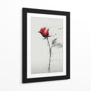 Rosas - DIEGO D L | Cuadro decorativo de Canvas Lab
