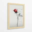 Rosas - DIEGO D L | Cuadro decorativo de Canvas Lab