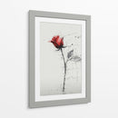 Rosas - DIEGO D L | Cuadro decorativo de Canvas Lab