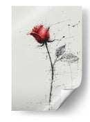 Rosas - DIEGO D L | Cuadro decorativo de Canvas Lab