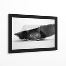 Gato Negro Curioso - Jeremy Holthuysen | Cuadro decorativo de Canvas Lab