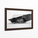 Gato Negro Curioso - Jeremy Holthuysen | Cuadro decorativo de Canvas Lab