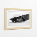 Gato Negro Curioso - Jeremy Holthuysen | Cuadro decorativo de Canvas Lab