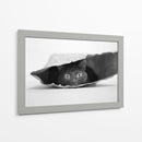 Gato Negro Curioso - Jeremy Holthuysen | Cuadro decorativo de Canvas Lab